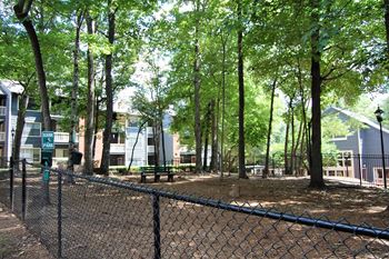 Fence in a dog park